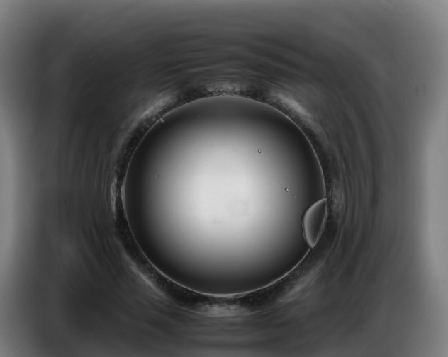 X0000086740637200704201706