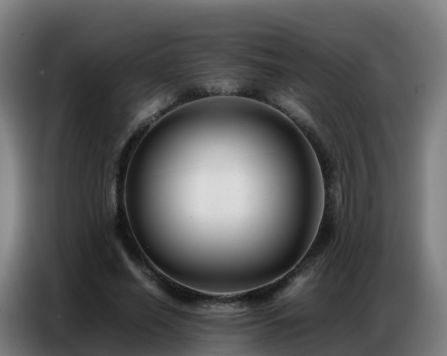 X0000086740638200704201706