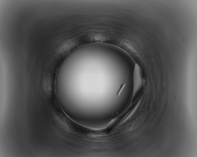 X0000086740639200704201706