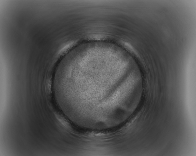 X0000086740640200704201706