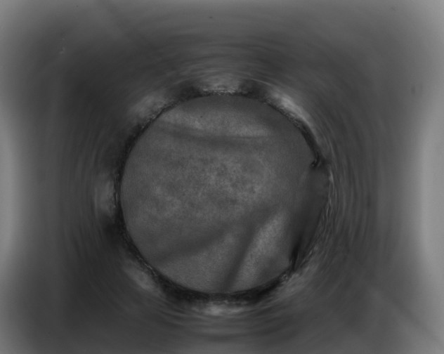 X0000086740641200704201706