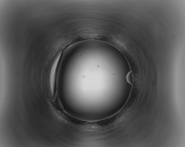 X0000086740642200704201706