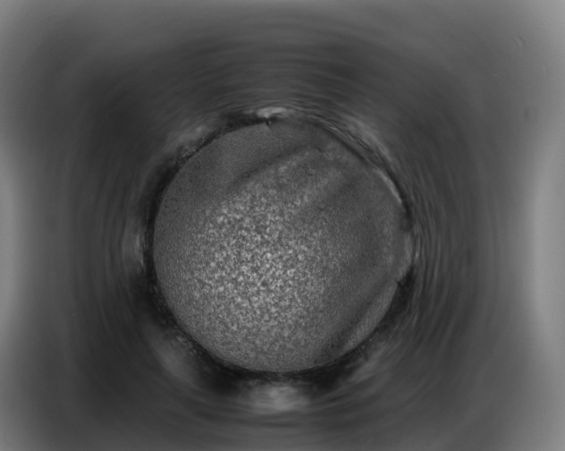 X0000086740643200704201706