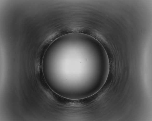 X0000086740644200704201706