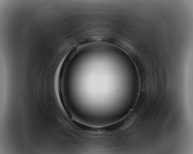 X0000086740646200704201706