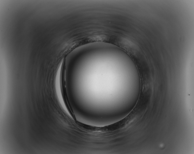 X0000086740647200704201706