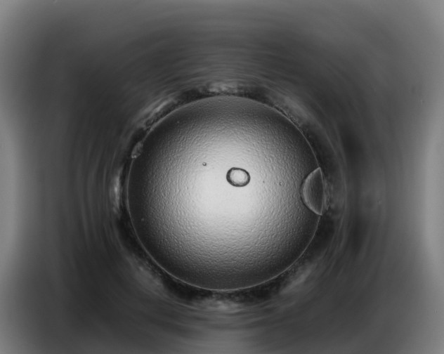 X0000086740648200704201706