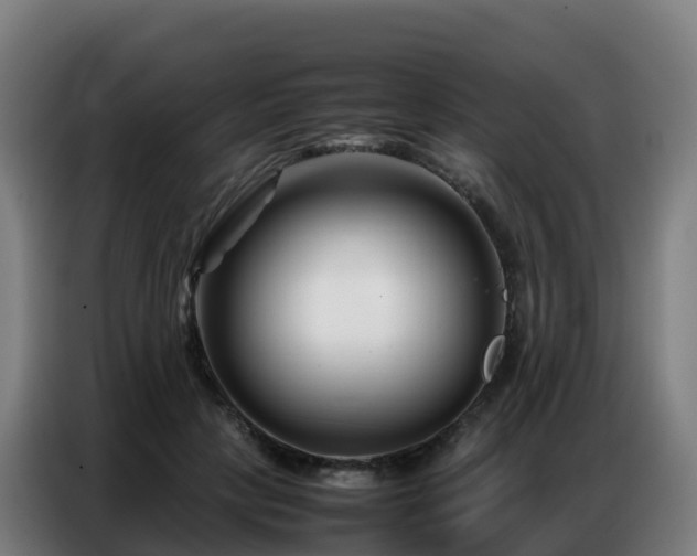 X0000086740649200704201706