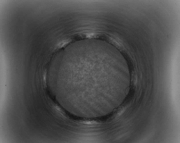 X0000086740650200704201706