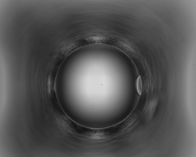 X0000086740651200704201706