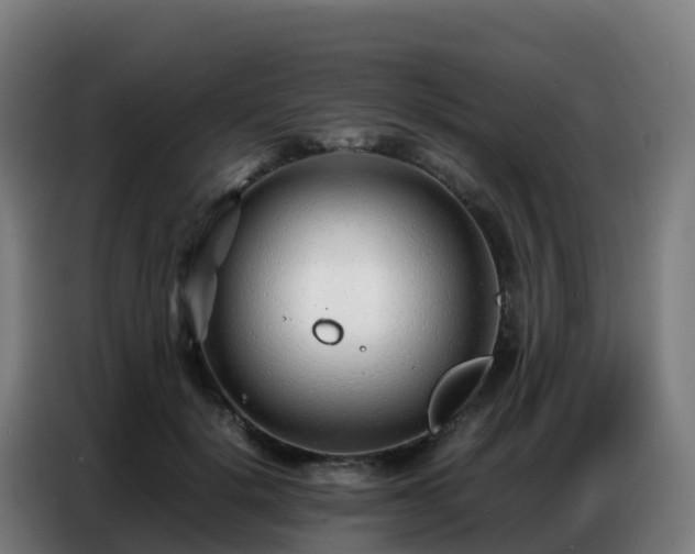 X0000086740652200704201706