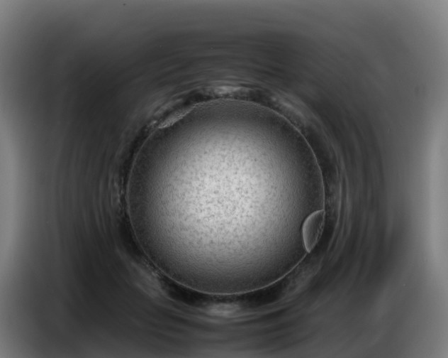 X0000086740653200704201706