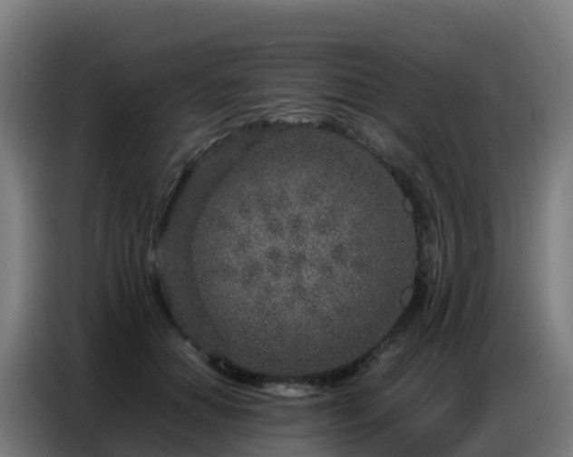 X0000086740654200704201706