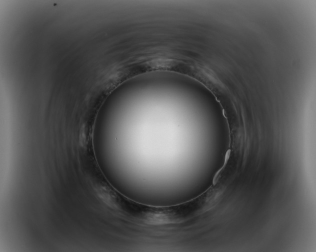 X0000086740655200704201706