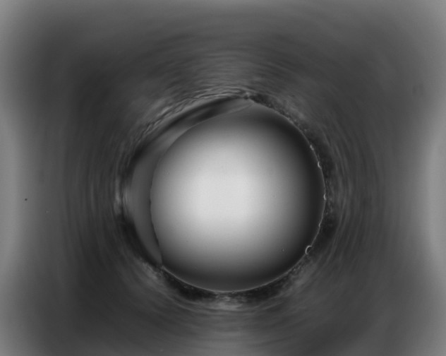 X0000086740656200704201706