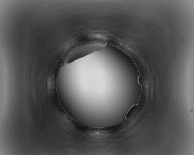 X0000086740657200704201707