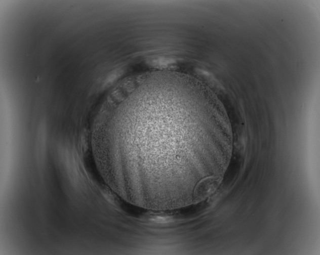 X0000086740658200704201707