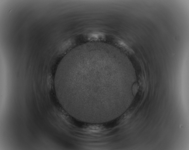 X0000086740659200704201707