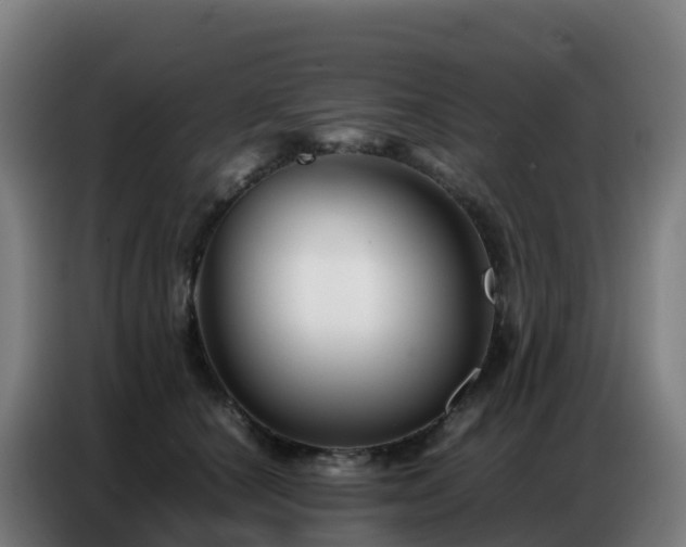 X0000086740660200704201707