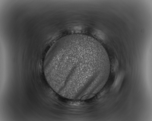 X0000086740661200704201707