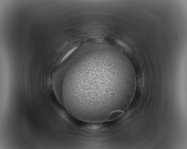 X0000086740662200704201707