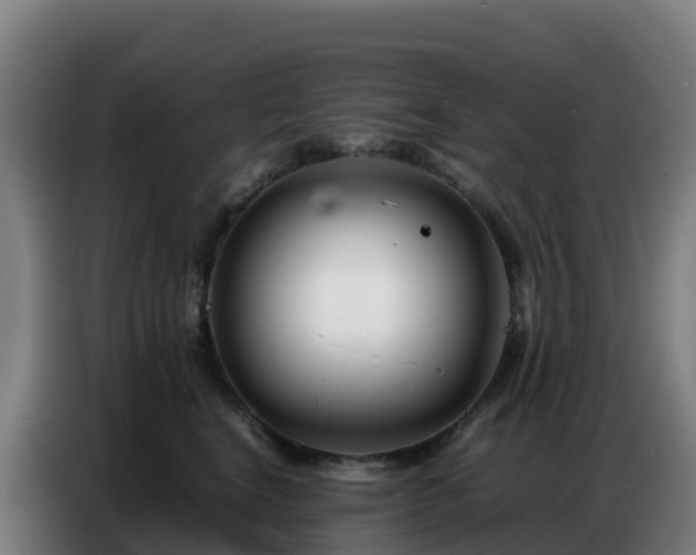 X0000086740664200704201707