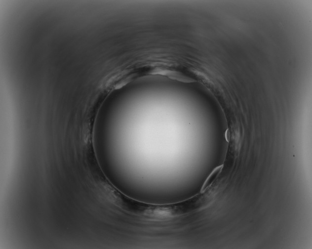 X0000086740665200704201707