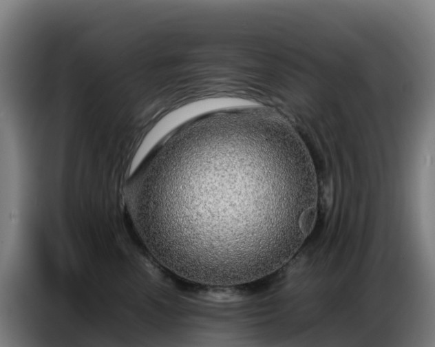 X0000086740666200704201707