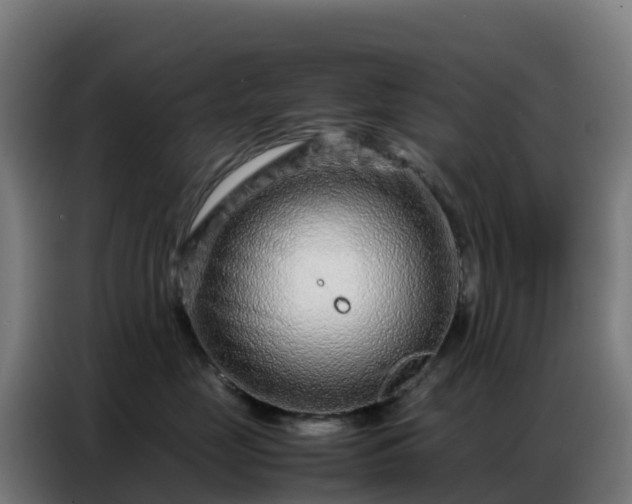 X0000086740669200704201707