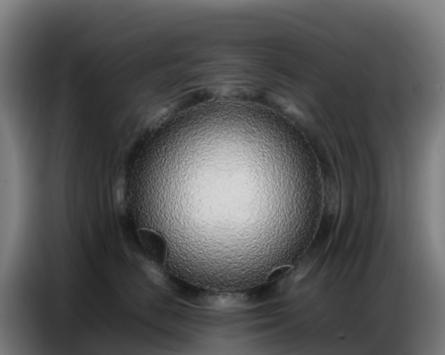 X0000086740670200704201707