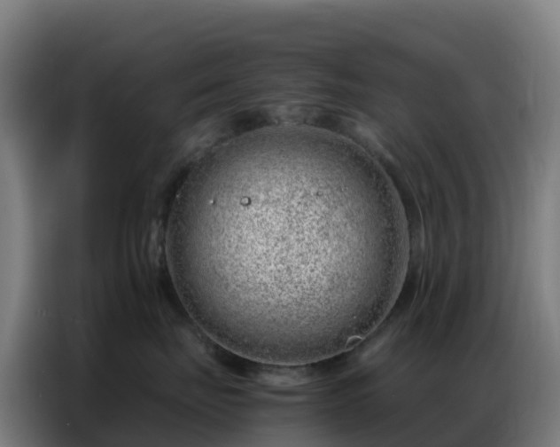 X0000086740671200704201707