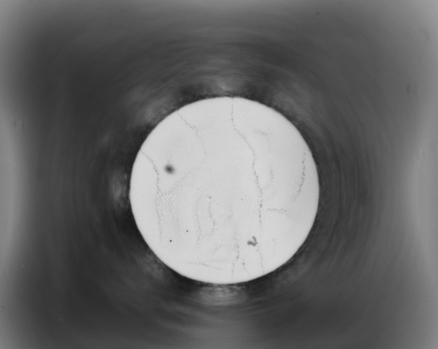 X0000086740672200704201707