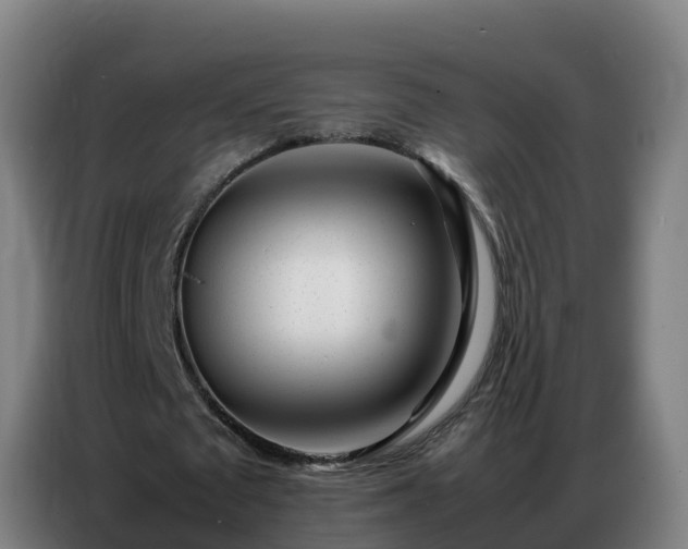 X0000086740673200704201706