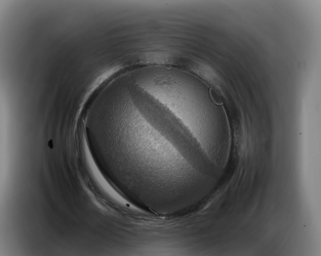 X0000086740674200704201706