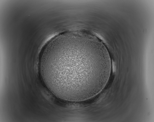 X0000086740675200704201706