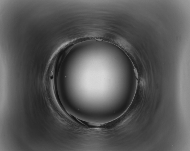 X0000086740676200704201706