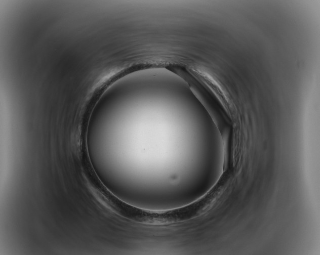 X0000086740677200704201706