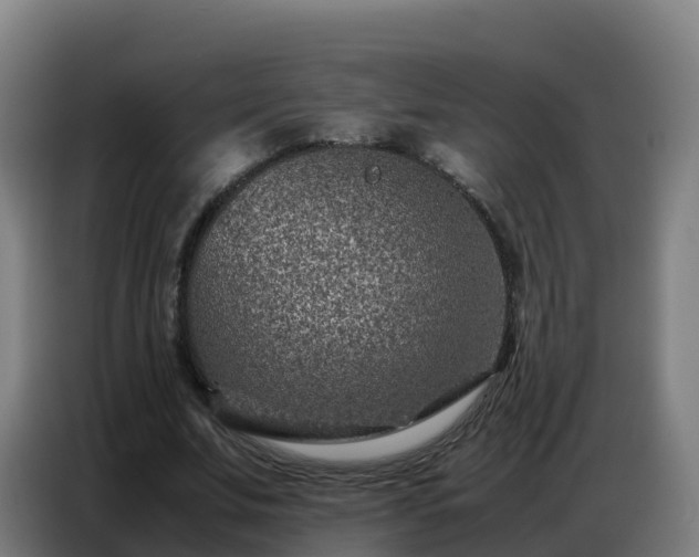 X0000086740679200704201706