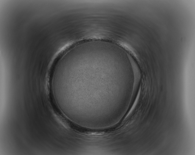 X0000086740680200704201706