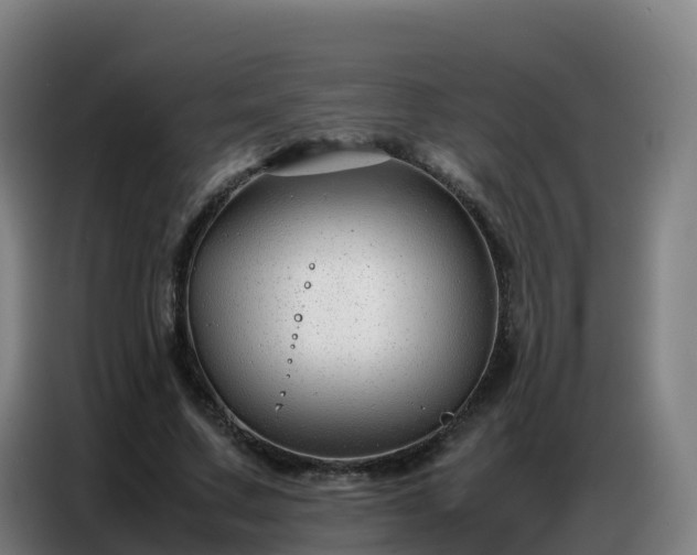 X0000086740683200704201706