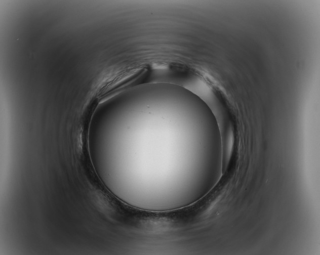 X0000086740685200704201706