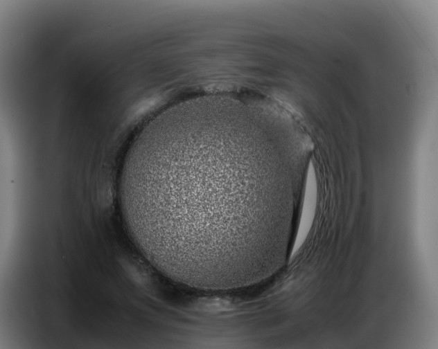 X0000086740687200704201706