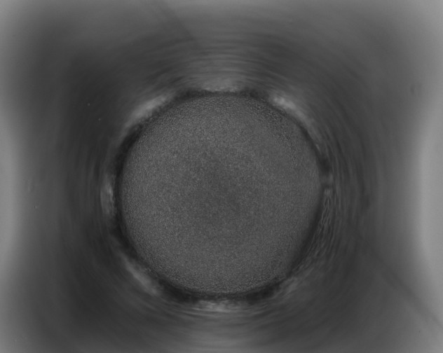 X0000086740688200704201706