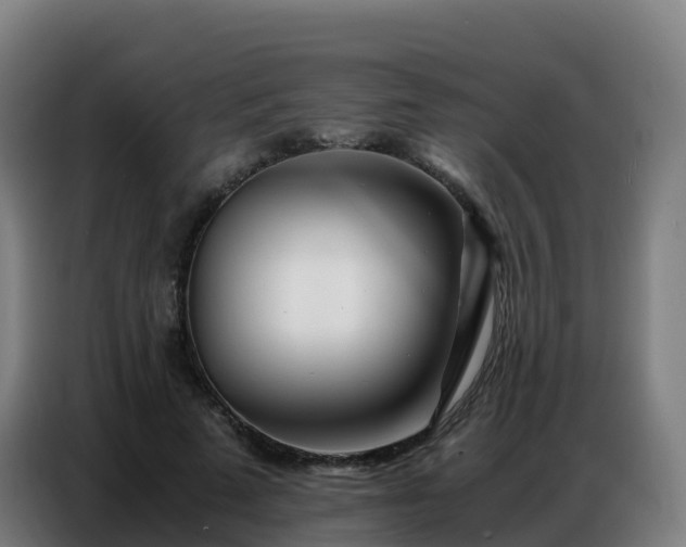 X0000086740689200704201706