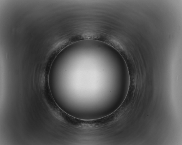 X0000086740690200704201706