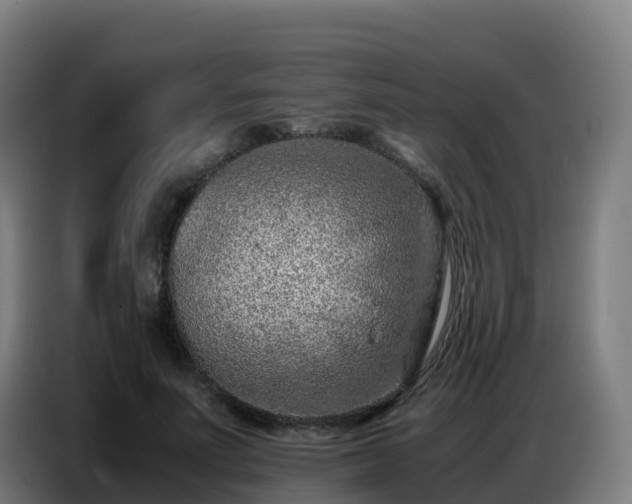 X0000086740691200704201706