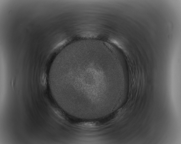 X0000086740692200704201706