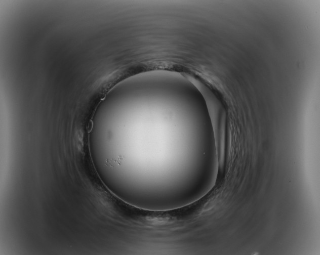 X0000086740693200704201706