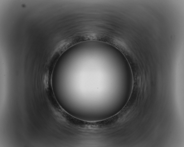 X0000086740694200704201706