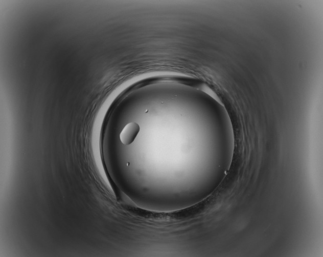 X0000086740695200704201706